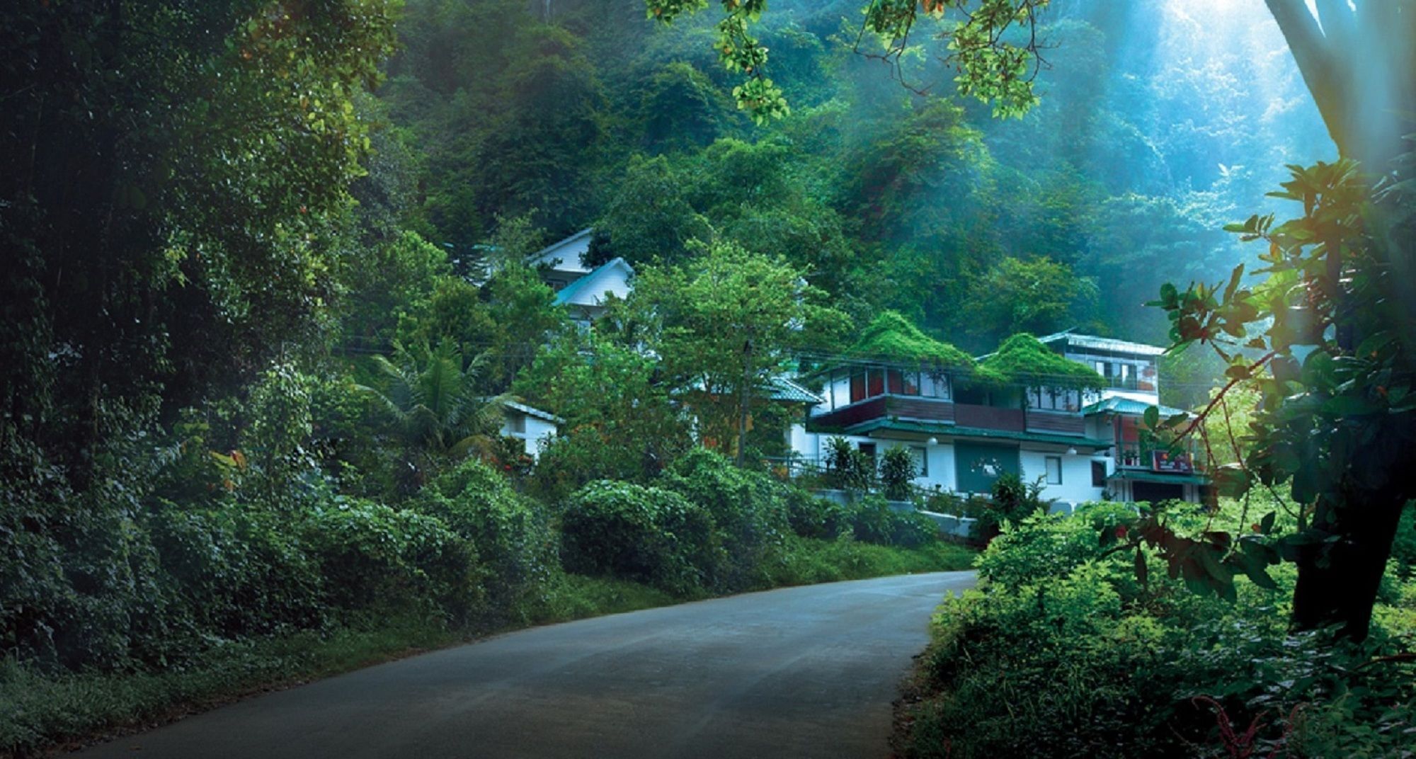 Bellavista Resort Munnar Luaran gambar