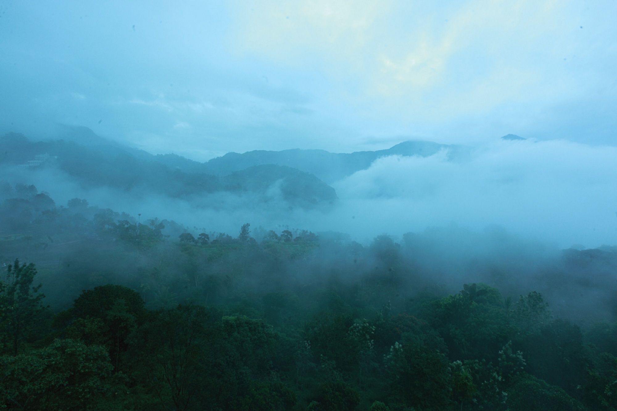 Bellavista Resort Munnar Luaran gambar