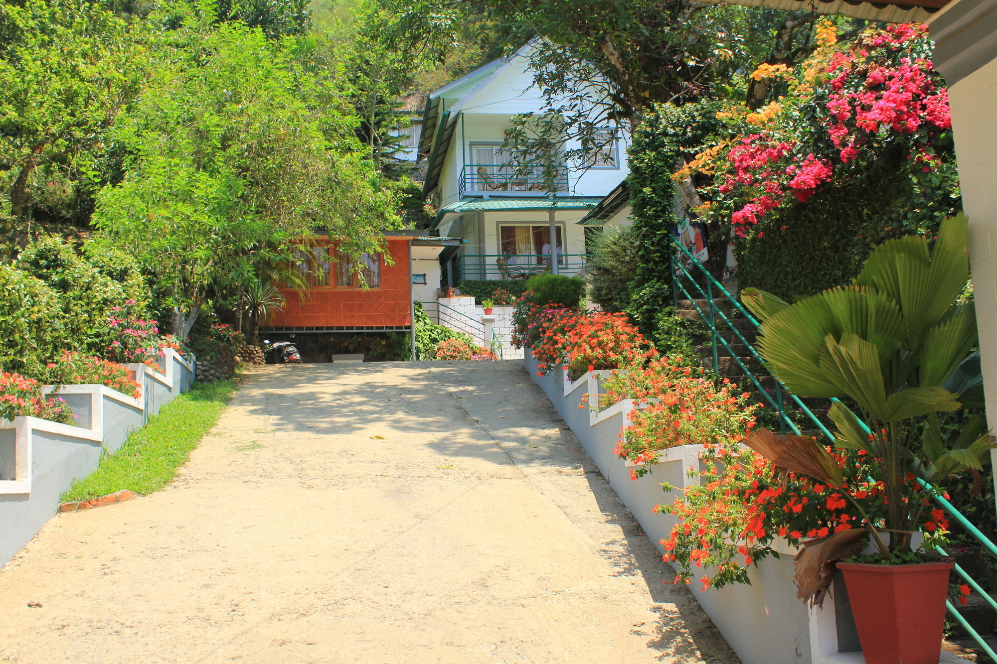 Bellavista Resort Munnar Luaran gambar